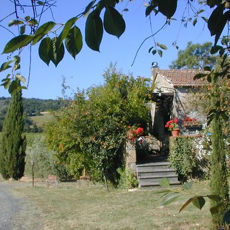 Piccolo Sole Villa Montescudaio Exterior foto