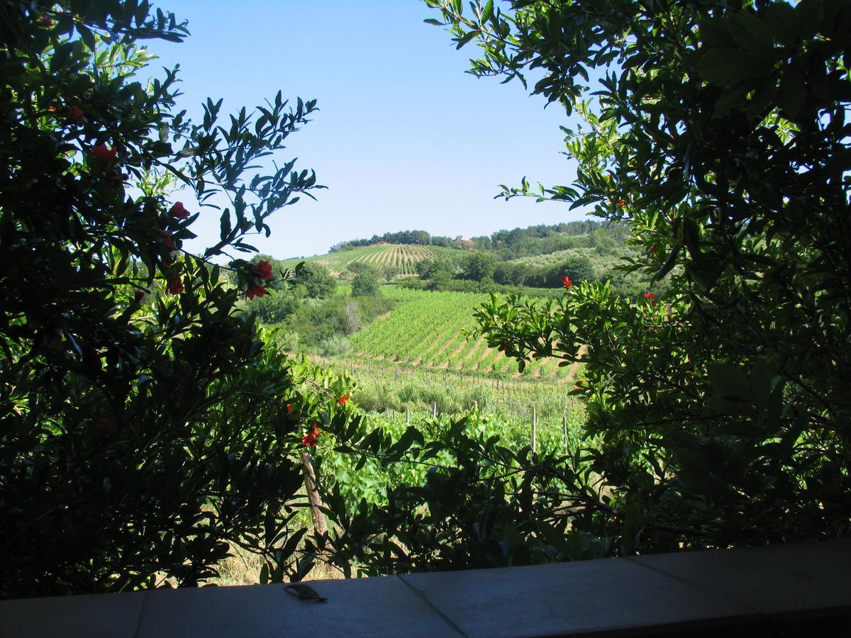 Piccolo Sole Villa Montescudaio Exterior foto